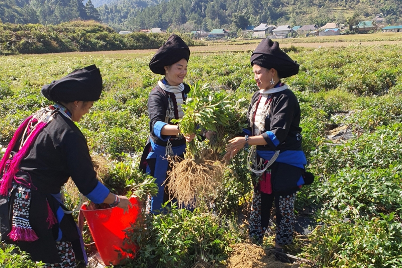 Khi cán bộ, đảng viên là hạt nhân nêu gương trong vùng đồng bào dân tộc thiểu số (4/11/2022)